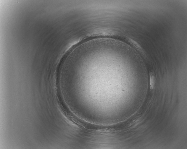 X0000058120627200510071940