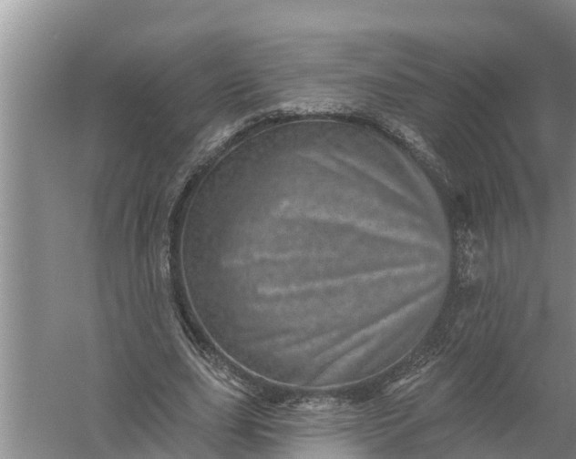 X0000058120631200510071940