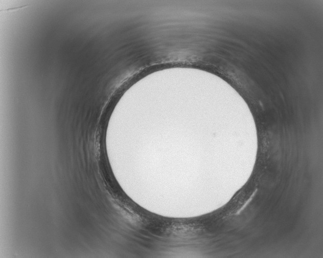 X0000058120632200510071940