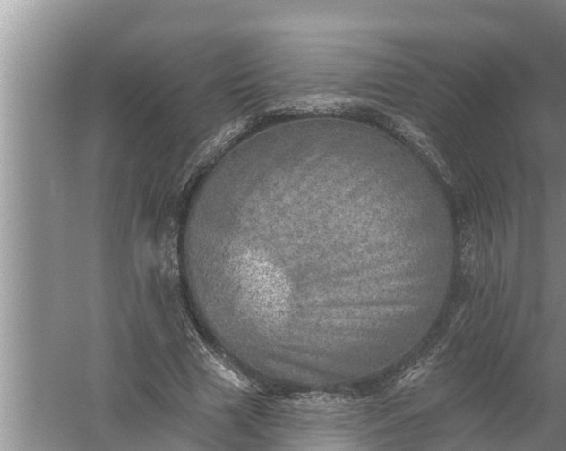 X0000058120633200510071940