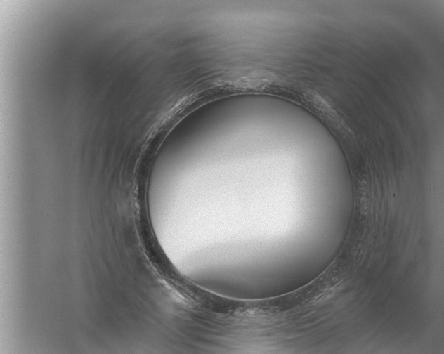 X0000058120634200510071940