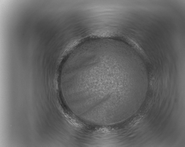 X0000058120635200510071940