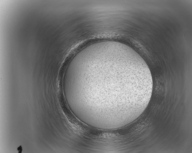 X0000058120636200510071940