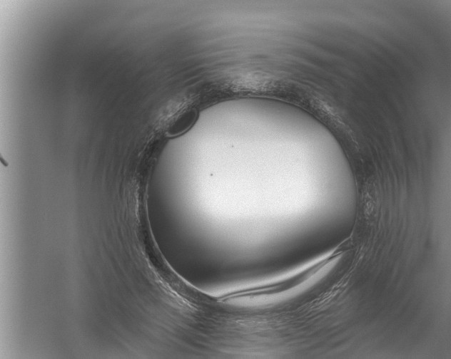 X0000058120637200510071940