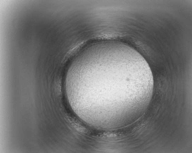 X0000058120640200510071940