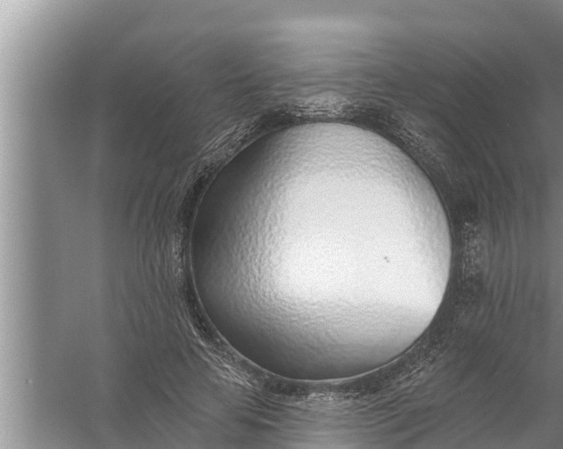 X0000058120641200510071940