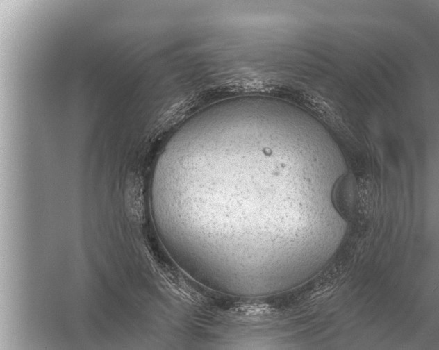 X0000058120642200510071940