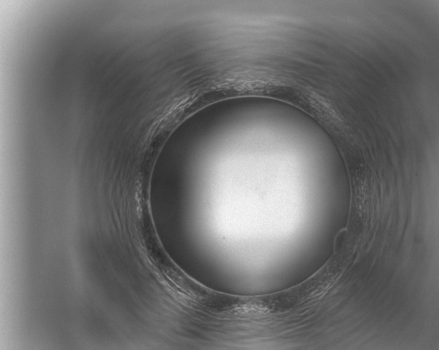 X0000058120644200510071940