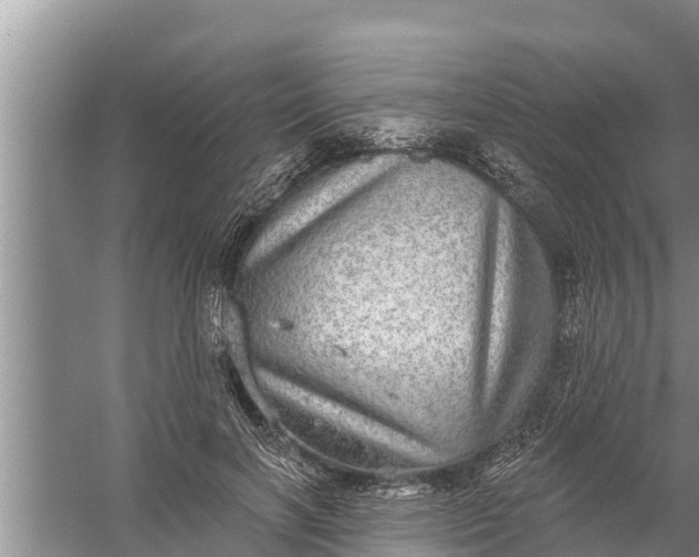 X0000058120646200510071940