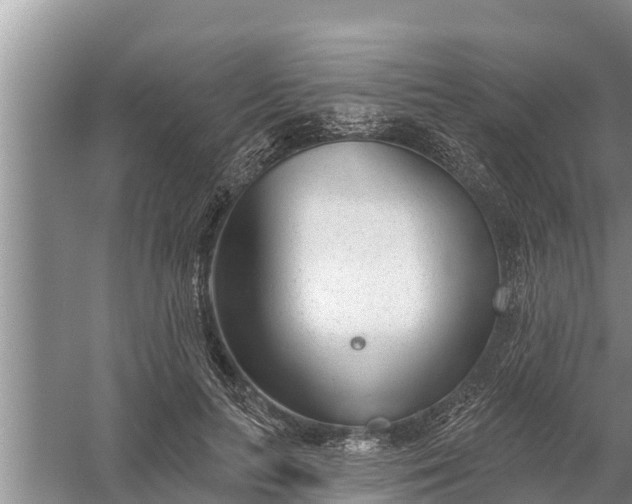 X0000058120647200510071940