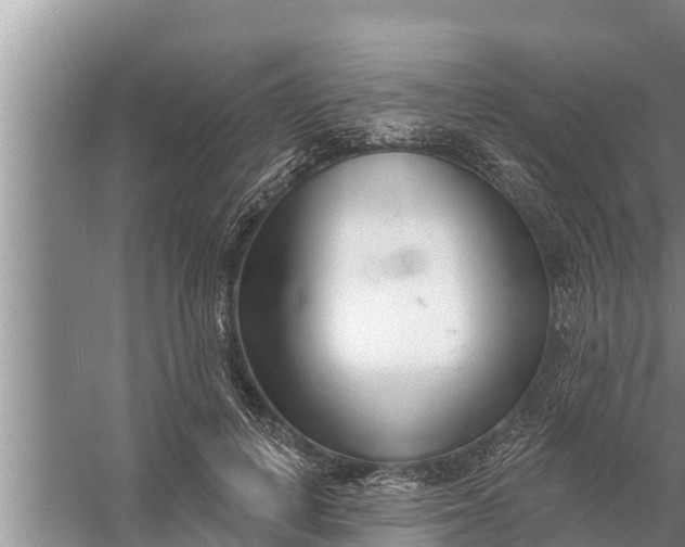 X0000058120648200510071940