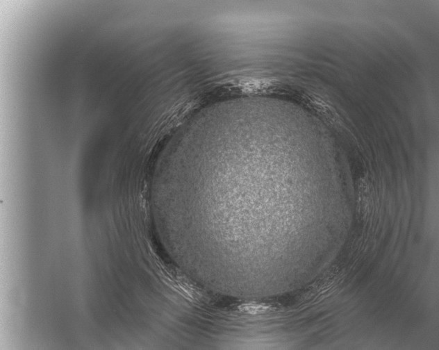 X0000058120650200510071940