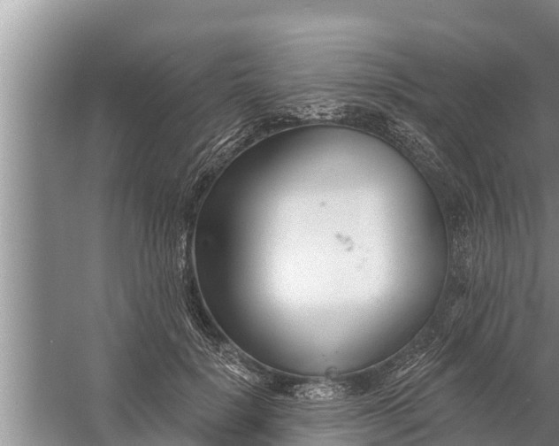 X0000058120652200510071940