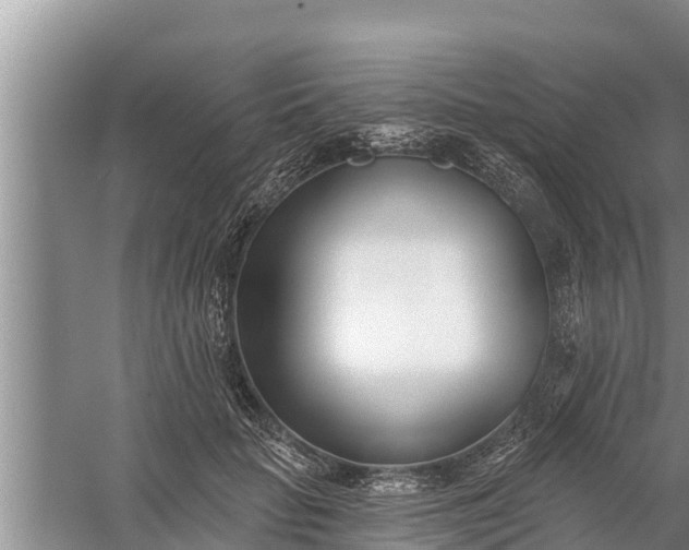 X0000058120653200510071940