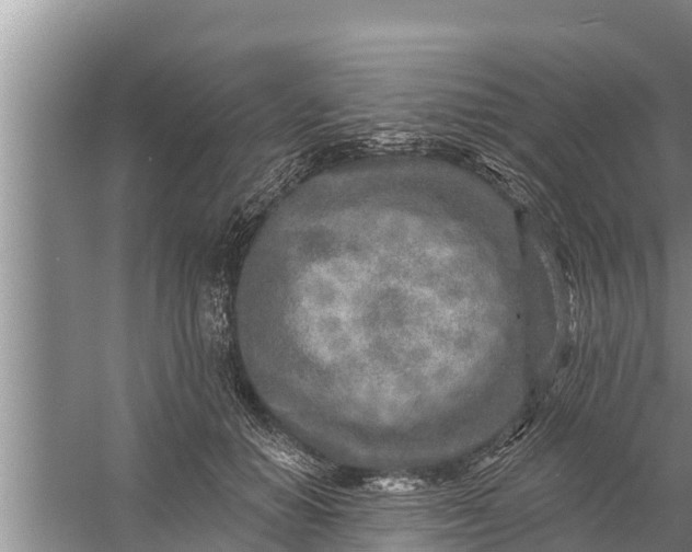 X0000058120654200510071940