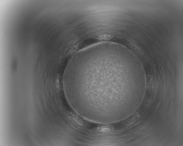 X0000058120655200510071940