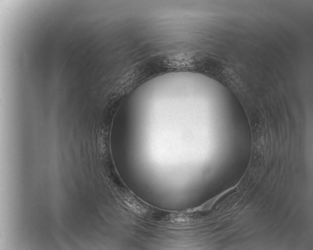 X0000058120658200510071940