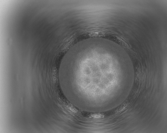 X0000058120659200510071940