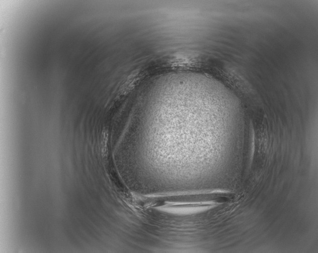 X0000058120660200510071940