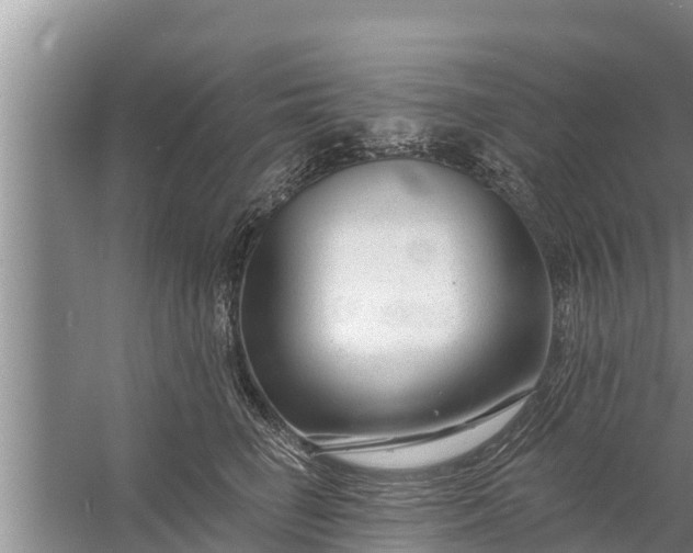 X0000058120662200510071940