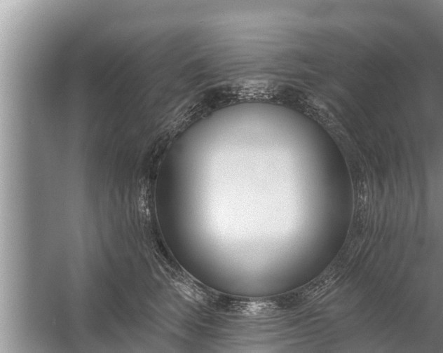 X0000058120663200510071940