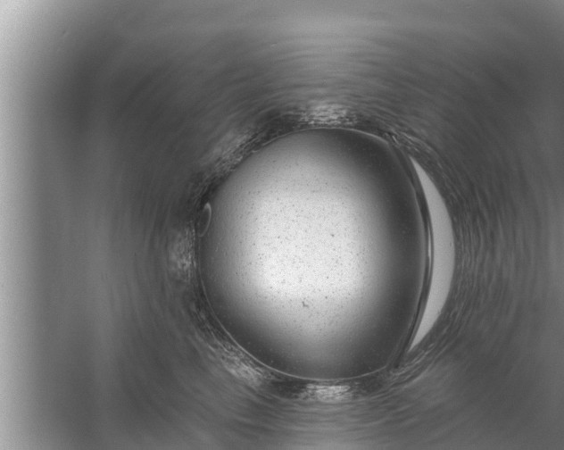 X0000058120665200510071941