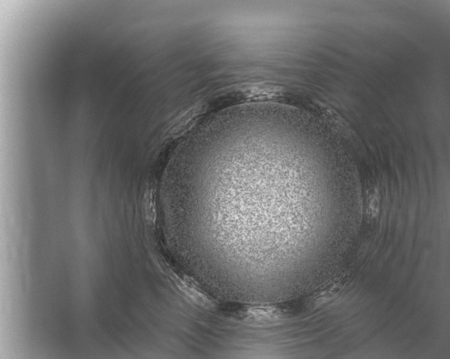 X0000058120666200510071941