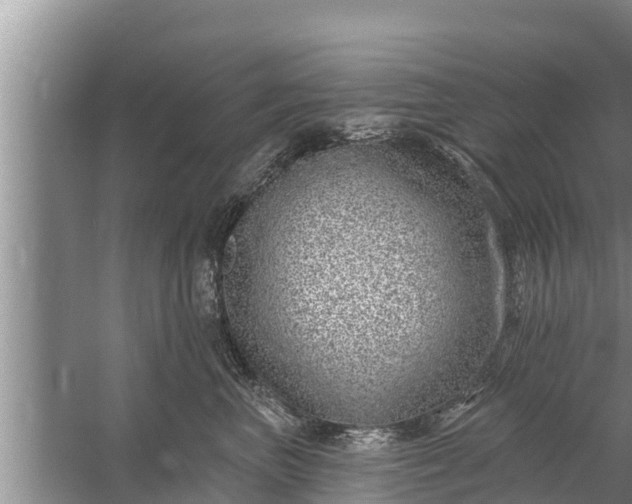 X0000058120667200510071941