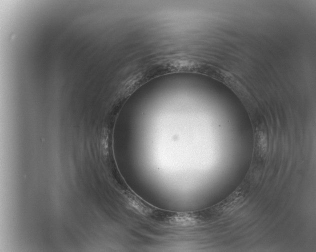 X0000058120668200510071941