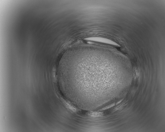 X0000058120670200510071941