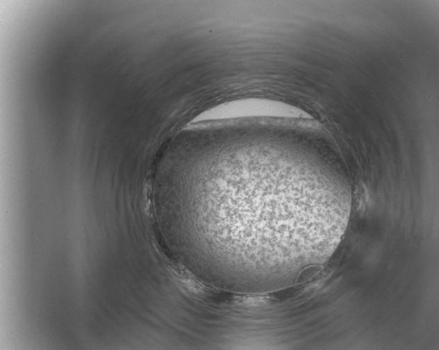 X0000058120671200510071941