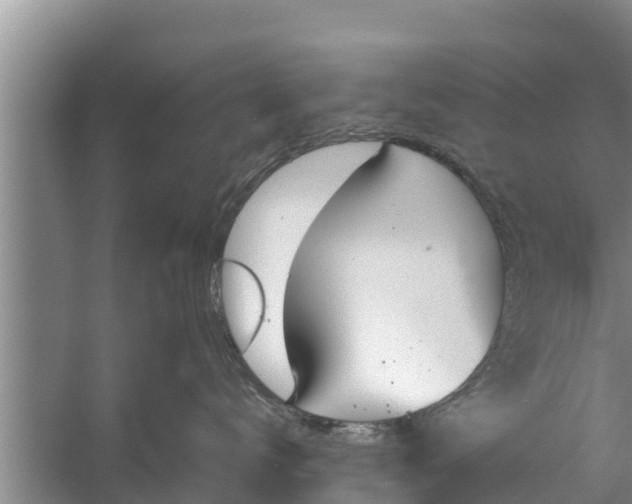 X0000058120672200510071941