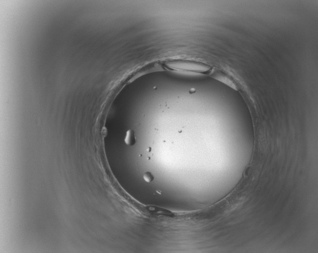 X0000058120673200510071940