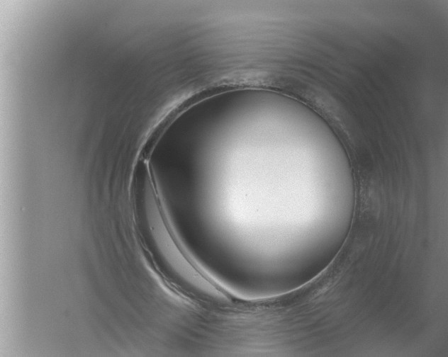 X0000058120674200510071940