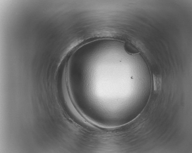 X0000058120675200510071940