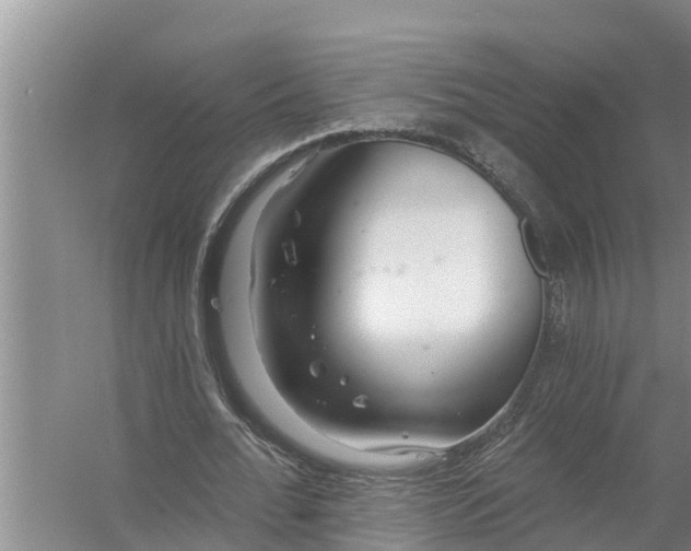 X0000058120676200510071940