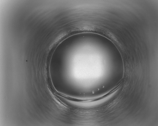 X0000058120677200510071940