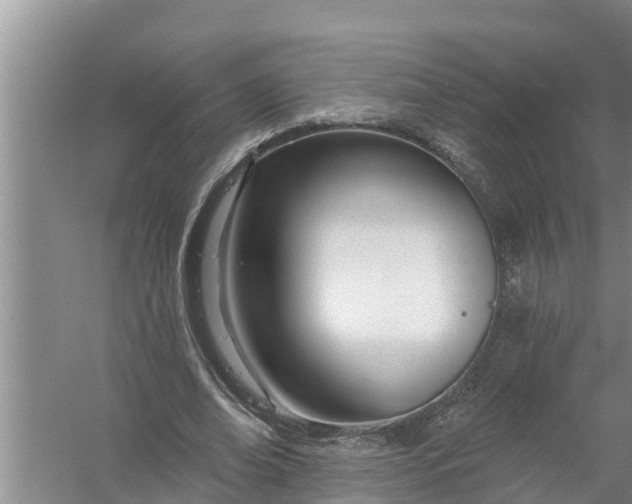 X0000058120678200510071940