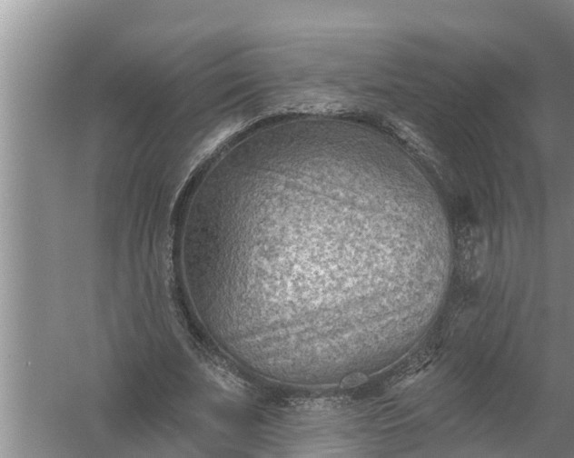 X0000058120679200510071940