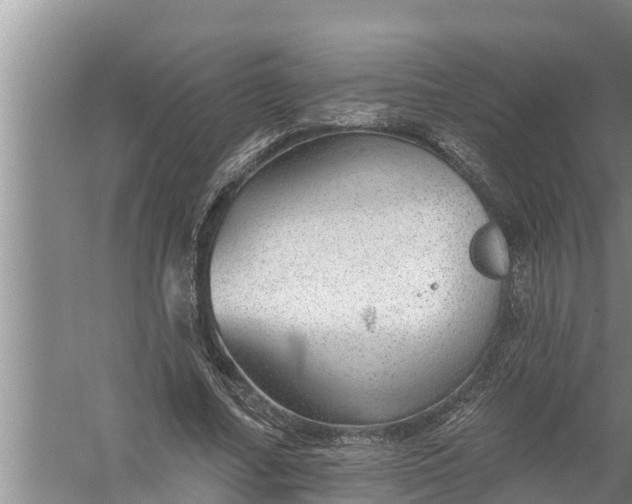 X0000058120682200510071940