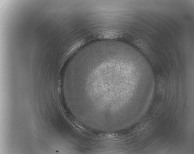 X0000058120683200510071940