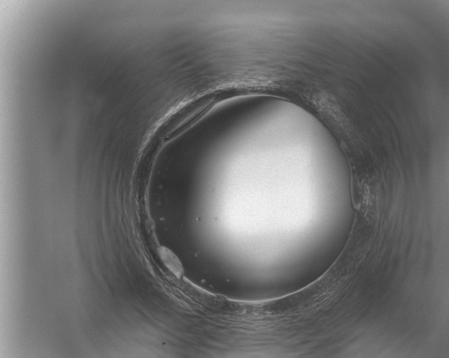 X0000058120684200510071940