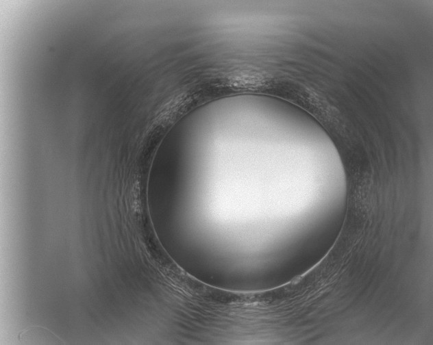 X0000058120689200510071940