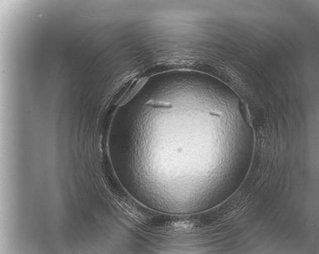 X0000058120692200510071939