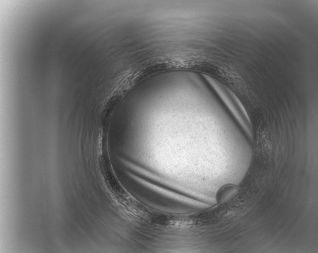 X0000058120694200510071939