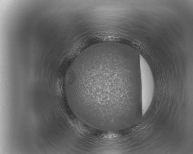 X0000058120695200510071939