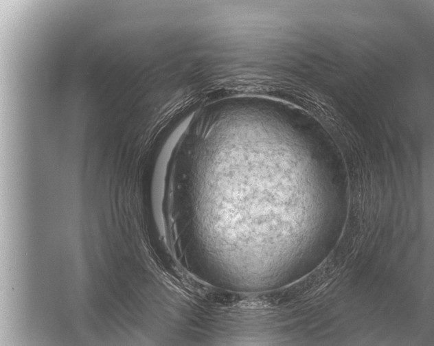 X0000058120696200510071939