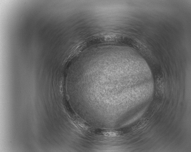 X0000058120698200510071939