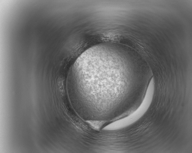 X0000058120699200510071939