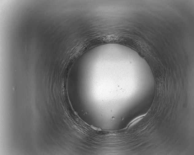 X0000058120700200510071939